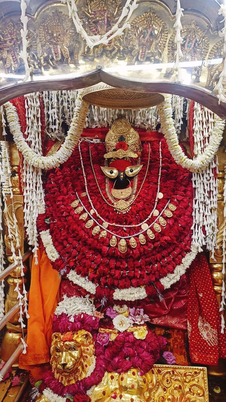 Shree Vindhyeshvari Mata deity image
